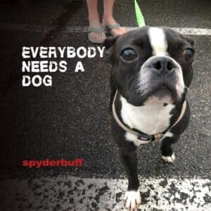 Everybody Needs a Dog is Spyderhuff's Ep Out Now