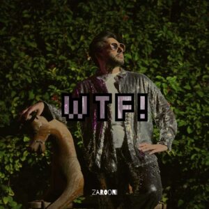 WTF! is Zarooni's Single Out Now